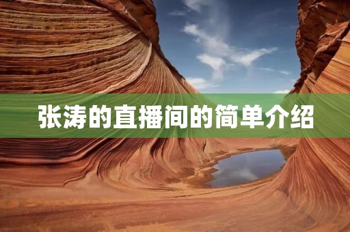张涛的直播间的简单介绍 张涛的直播间的简单介绍