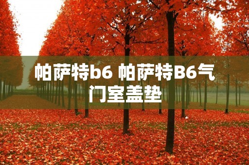 帕萨特b6 帕萨特B6气门室盖垫 帕萨特b6 帕萨特B6气门室盖垫