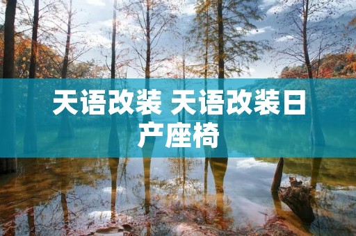 天语改装 天语改装日产座椅