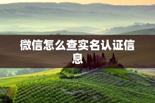微信怎么查实名认证信息