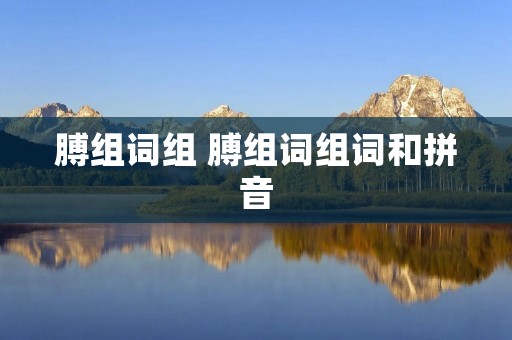 膊组词组 膊组词组词和拼音 膊组词组 膊组词组词和拼音