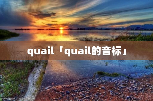quail「quail的音标」 quail「quail的音标」