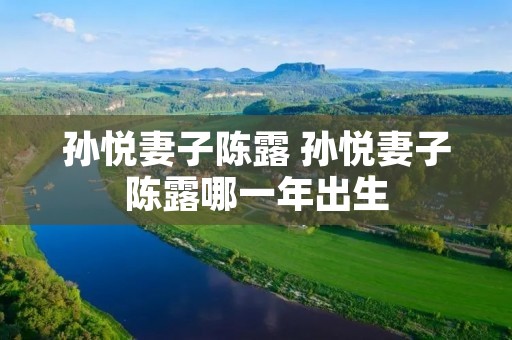 孙悦妻子陈露 孙悦妻子陈露哪一年出生