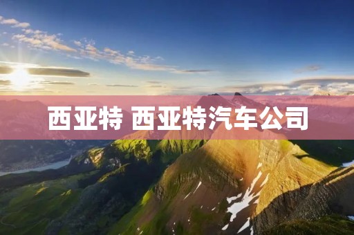 西亚特 西亚特汽车公司