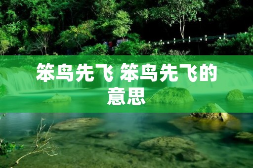 笨鸟先飞 笨鸟先飞的意思