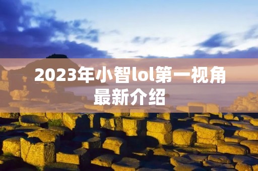 2023年小智lol第一视角最新介绍