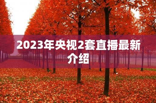 2023年央视2套直播最新介绍