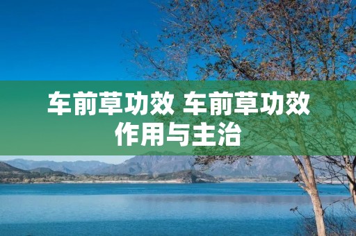 车前草功效 车前草功效作用与主治