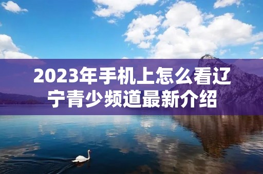 2023年手机上怎么看辽宁青少频道最新介绍 2023年手机上怎么看辽宁青少频道最新介绍