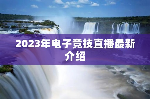 2023年电子竞技直播最新介绍
