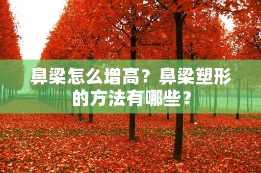 鼻梁怎么增高?鼻梁塑形的方法有哪些? 鼻梁怎么增高?鼻梁塑形的方法有哪些?