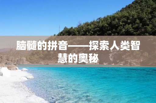 脑髓的拼音——探索人类智慧的奥秘