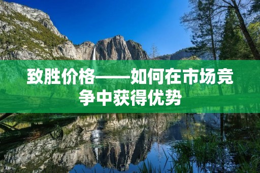 致胜价格——如何在市场竞争中获得优势 致胜价格——如何在市场竞争中获得优势