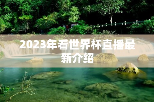 2023年看世界杯直播最新介绍 2023年看世界杯直播最新介绍