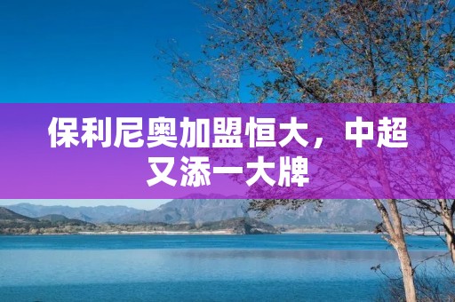 保利尼奥加盟恒大,中超又添一大牌 保利尼奥加盟恒大,中超又添一大牌