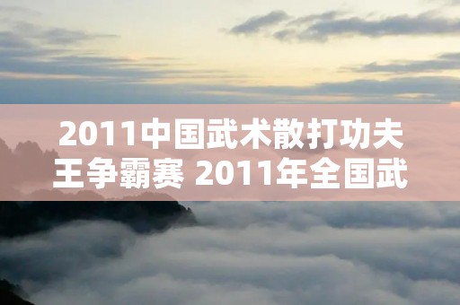 2011中国武术散打功夫王争霸赛 2011年全国武术散打冠军赛