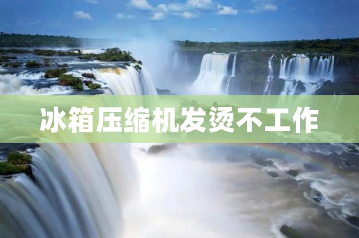 冰箱压缩机发烫不工作:原因与解决方法 冰箱压缩机发烫不工作:原因与解决方法