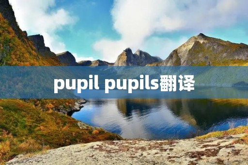 pupil pupils翻译