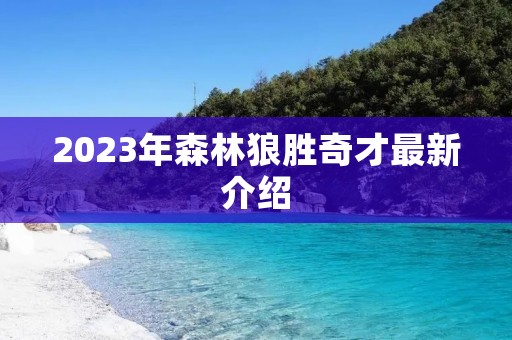 2023年森林狼胜奇才最新介绍