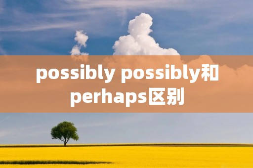 possibly possibly和perhaps区别