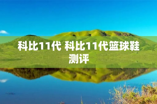 科比11代 科比11代篮球鞋测评