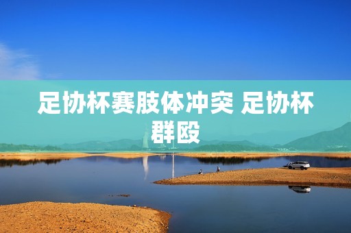 足协杯赛肢体冲突 足协杯群殴