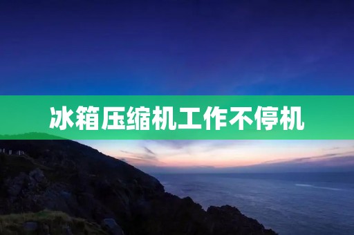 冰箱压缩机工作不停机:原因及解决方案 冰箱压缩机工作不停机:原因及解决方案