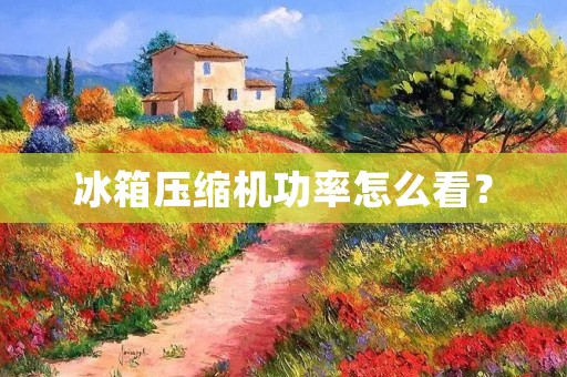 冰箱压缩机功率怎么看? 冰箱压缩机功率怎么看?