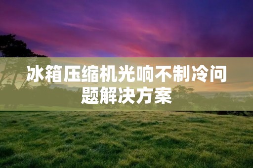 冰箱压缩机光响不制冷问题解决方案