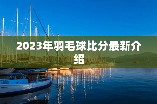 2023年羽毛球比分最新介绍