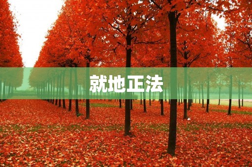 就地正法:杀鸡儆猴的效果还是令人担忧 就地正法:杀鸡儆猴的效果还是令人担忧