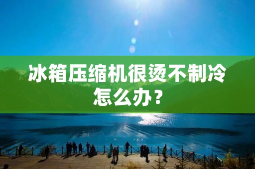 冰箱压缩机很烫不制冷怎么办? 冰箱压缩机很烫不制冷怎么办?