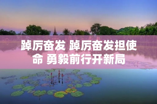 踔厉奋发 踔厉奋发担使命 勇毅前行开新局