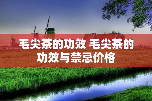 毛尖茶的功效 毛尖茶的功效与禁忌价格