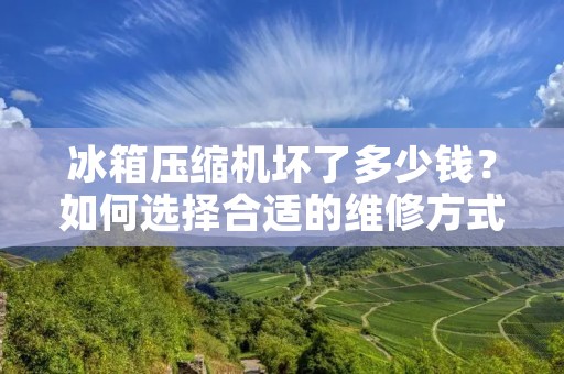 冰箱压缩机坏了多少钱?如何选择合适的维修方式? 冰箱压缩机坏了多少钱?如何选择合适的维修方式?