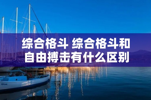 综合格斗 综合格斗和自由搏击有什么区别 综合格斗 综合格斗和自由搏击有什么区别