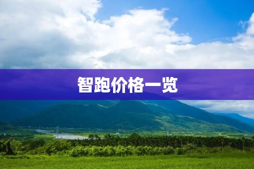 智跑价格一览：如何选择适合自己的智跑产品