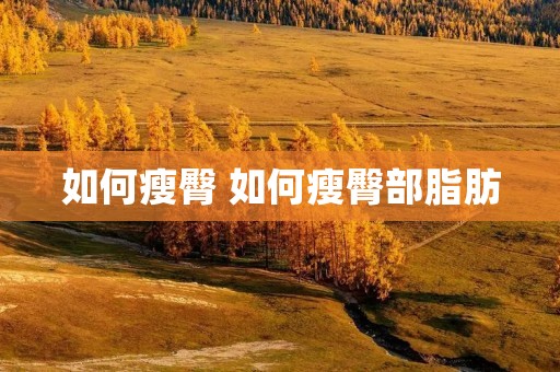 如何瘦臀 如何瘦臀部脂肪