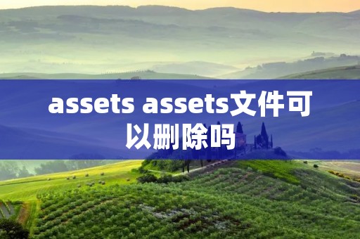 assets assets文件可以删除吗