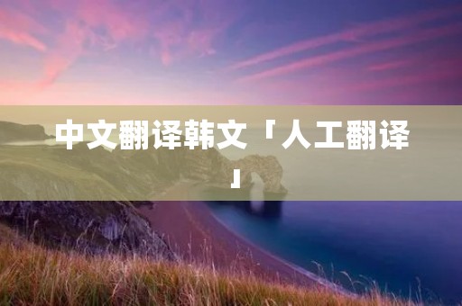 中文翻译韩文「人工翻译」