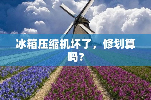 冰箱压缩机坏了，修划算吗？