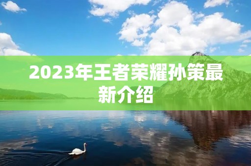 2023年王者荣耀孙策最新介绍