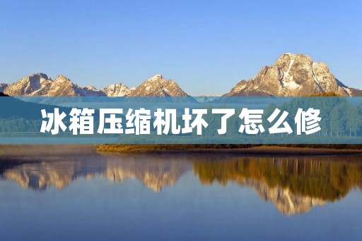 冰箱压缩机坏了怎么修:详细教程 冰箱压缩机坏了怎么修:详细教程