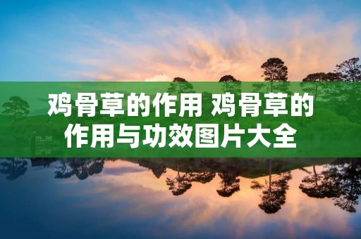 鸡骨草的作用 鸡骨草的作用与功效图片大全