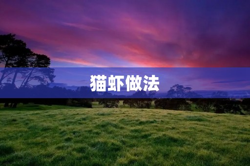 猫虾做法：美味佳肴，口感鲜美