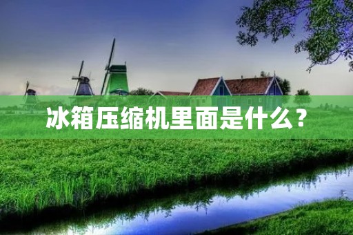冰箱压缩机里面是什么？
