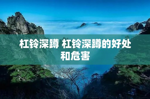 杠铃深蹲 杠铃深蹲的好处和危害 杠铃深蹲 杠铃深蹲的好处和危害