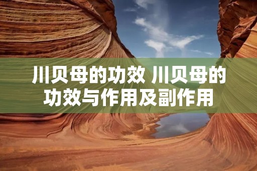川贝母的功效 川贝母的功效与作用及副作用