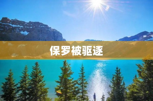 保罗被驱逐:一次意外的球场事件 保罗被驱逐:一次意外的球场事件