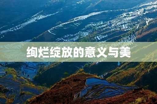 绚烂绽放的意义与美